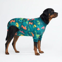 Dog Surgical Suit