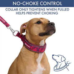 Martingale Collar and Multipurpose Leash Set - Fuchsia Camo