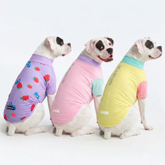 Sunblock Dog T-Shirt (3-pack) - Gelato, Yuzu, Berries