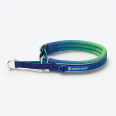 Cushioned Martingale Collar - Lime Wave