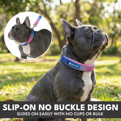 Martingale Collar Sets