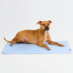 Frostcore™ Cooling Mat - Waffle Blue