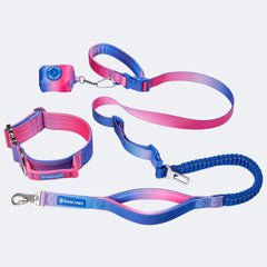 Comfort Control Collar and Multipurpose Leash Set - Snow Cone