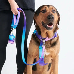 Leash and Poop Bag Holder Set