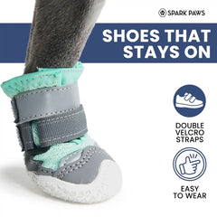 Hot Pavement Pawtector Dog Shoes - Teal