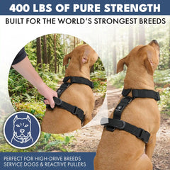 Comfort Control No-Pull Dog Harness - Black