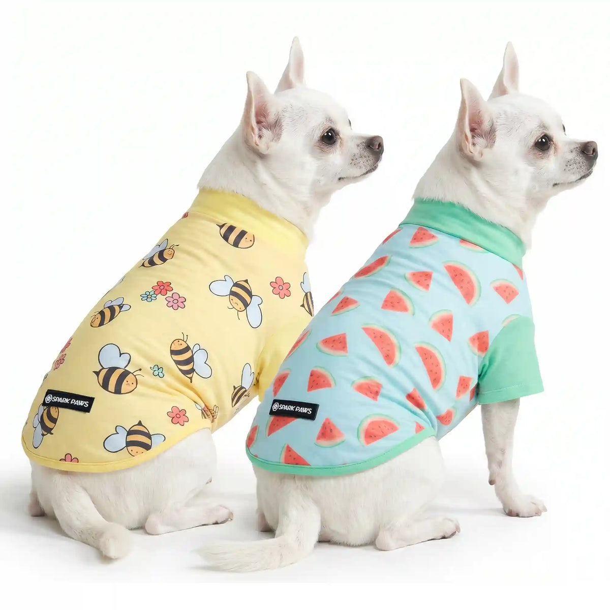 Sunblock Dog T-Shirt (2-pack) - Bees Watermelon
