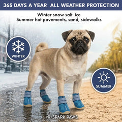 365 All-Season Dog Shoe 4PC Set - Blue