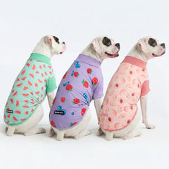 Sunblock Dog T-Shirt (3-pack) - Watermelon, Berries, Peaches