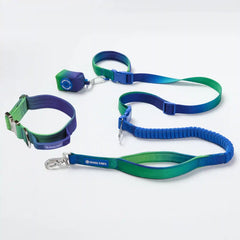 Comfort Control Collar and Multipurpose Leash Set - Lime Wave
