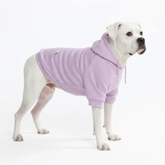 Essential Dog Hoodie - Lavender