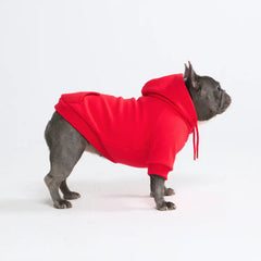 Essential Dog Hoodie - Crimson Red
