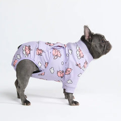 Dog Surgical Suit - When Pigs Fly