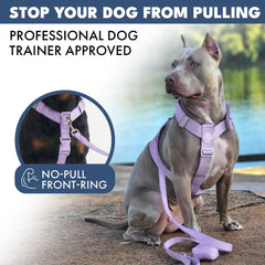 Comfort Control™ No-Pull Dog Harness - Lilac