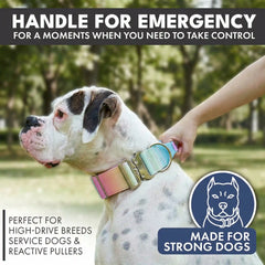Comfort Control Collar and Multipurpose Leash Sets