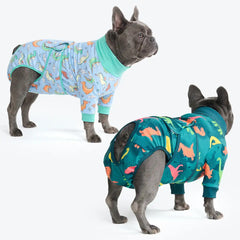 Dog Surgical Suit (2-pack) - Dinosaurs and Dragons