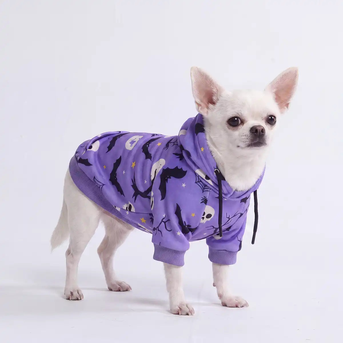 Halloween Dog Hoodie - Purple (2)