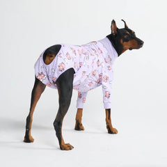 Dog Surgical Suit - When Pigs Fly