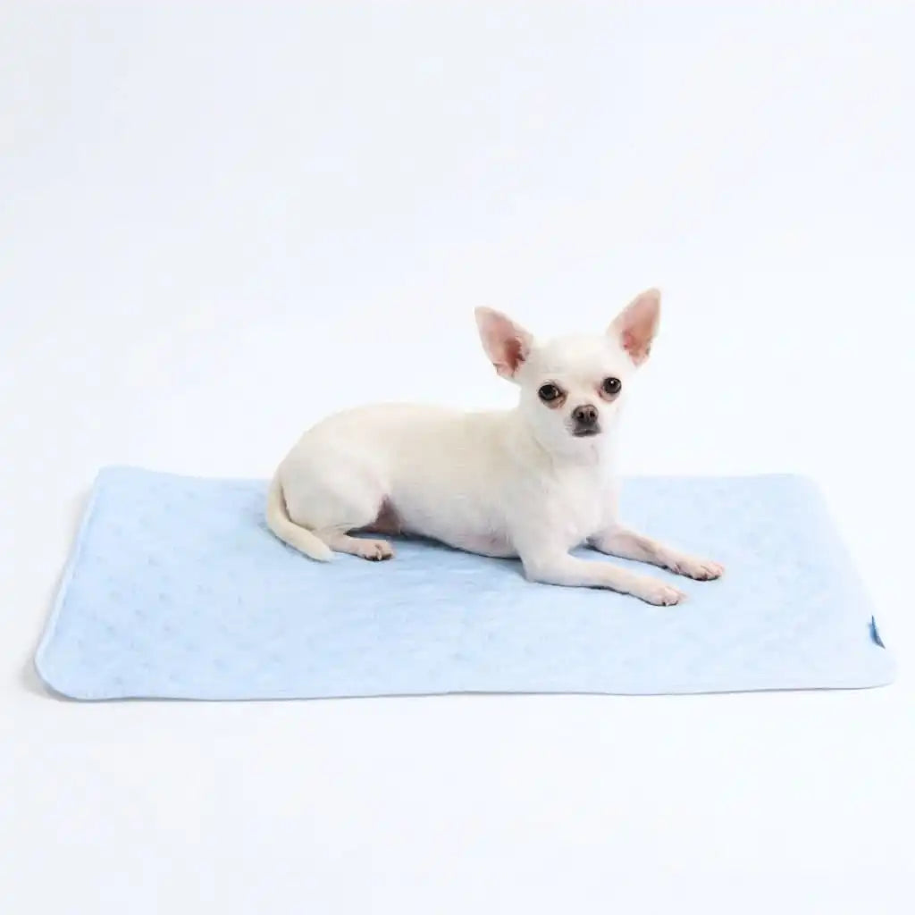 Frostcore™ Cooling Mat - Hearts Blue