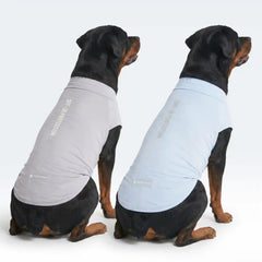 Sunblock Dog T-Shirt (2-pack) - Blue Grey