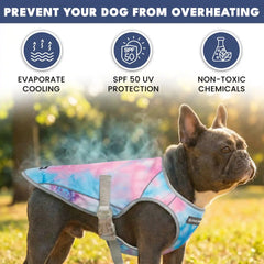 Chilltech™ Dog Cooling Vest 2 Pack