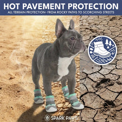 Hot Pavement Pawtector Dog Shoes - Teal