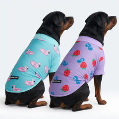 Sunblock Dog T-Shirt (2-pack) - Berries Flamingo
