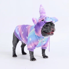 Halloween Dog Hoodies (Limited Edition)
