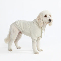 Essential Dog Hoodie - Oatmeal Heather