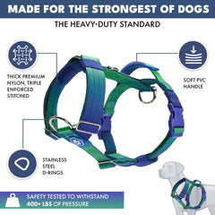 Comfort Control No-Pull Dog Harness Set - Lime Wave
