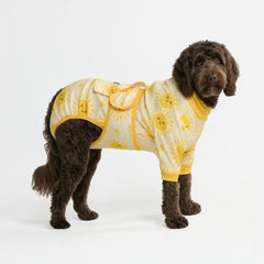 Dog Surgical Suit - Sunshine
