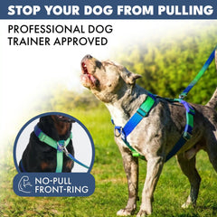 Comfort Control No-Pull Dog Harness - Lime Wave
