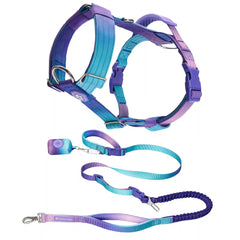 Comfort Control No-Pull Dog Harness and Multipurpose Leash Set - 90s Retro