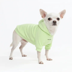 Essential Dog Hoodies