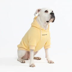Essential Dog Hoodie - Buttercream