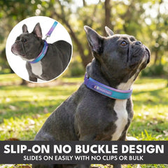 Martingale Collar Set - 90s Retro