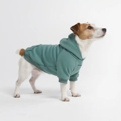 Essential Dog Hoodie - Teal