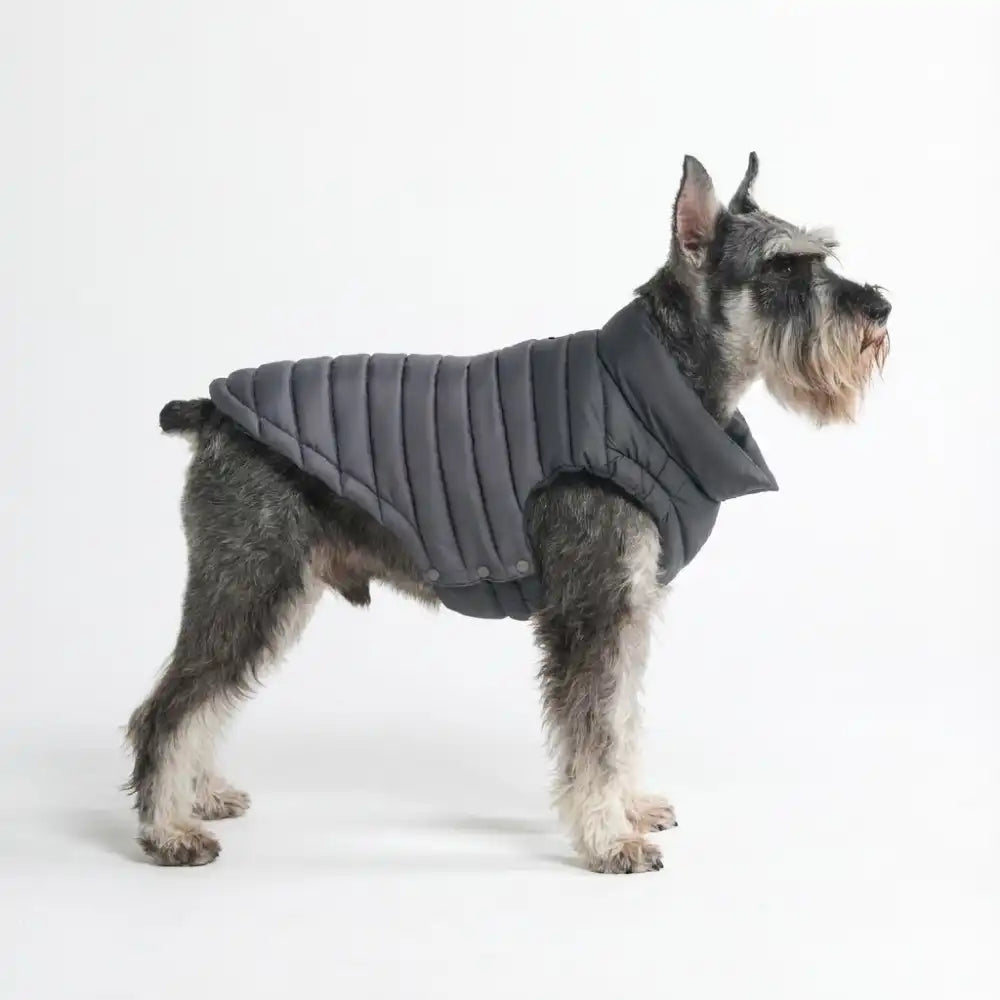 PuffShield Winter Jacket - Black