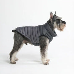 PuffShield Winter Jacket - Black