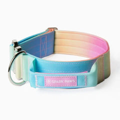 Comfort Control Collar - Pastel Icing