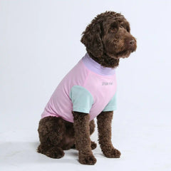 Sunblock Dog T-Shirt - Color Block