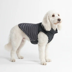PuffShield Winter Jacket - Black