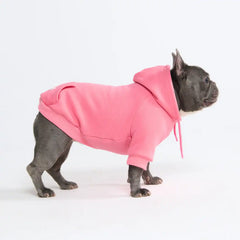 Essential Dog Hoodie - Blush Pink