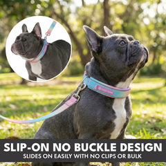 Martingale Collar Set - Pastel Icing