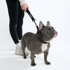 Cushioned Martingale Collar - Black