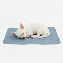 Frostcore™ Cooling Mat - Ash Blue