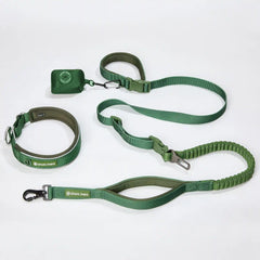 Martingale Collar and Multipurpose Leash Set - Army Green