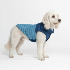 PuffShield Winter Jacket - Blue