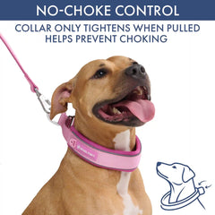 Martingale Collar Set - Pink