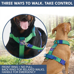 Comfort Control No-Pull Dog Harness and Multipurpose Leash Set - Lime Wave